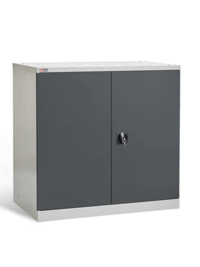 Шкаф инструментальный ДиКом ВЛ-051-02 купить в Ухте