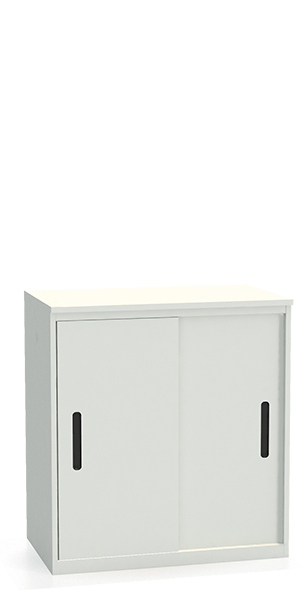 Шкаф-купе архивный ALS-8896 купить в Ухте